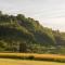 WINERY AND APARTMENTS MAROF - Bistrica ob Sotli