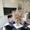 MODERN MINIMALIST APARTMENT Close to Airport and City Center. - Kiszyniów