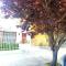 Casa interna en el centro
