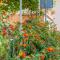 Apartment Podgora 6846a
