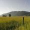 WINERY AND APARTMENTS MAROF - Bistrica ob Sotli