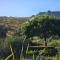 Garden Route Safari Camp - Mossel Bay