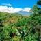 Arusha Jua Eco Home- on coffee farm - أروشا