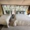 Olkinyei Mara Tented Camp