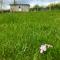 Rosemary Shepherds Hut, Clay Bank Huts - Ingleby