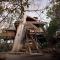 Chole Mjini Treehouses Lodge - Utende