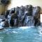 Lodge at Whitefish Lake - Whitefish