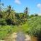 Little Diamond, Wooden Jungle House. Bathsheba. - Saint Joseph