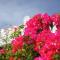 Hotel Hamahigashima Resort - Vacation STAY 10606v