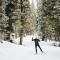 MT Skies - Skiing / Yellowstone / Fly Fishing - ليفينغستون