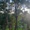 Cabana Gracillis - Espaço Mossoo - Serra Catarinense -Alfredo Wagner SC