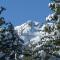 Big John at Alpine Meadows by Tahoe Getaways - Mountain Views, Cozy Fireplace, Shuttle to Slopes!