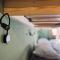 HOTEL ALPINA EINHORN - Self-Check-In