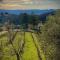 Tuscan renovated house in vineyards & olive trees