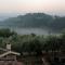 Tuscan renovated house in vineyards & olive trees