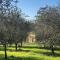 Tuscan renovated house in vineyards & olive trees