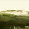 Misty Dam Wayanad Resort