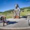 Walkable Brian Head Condo Steps to Ski Resort! - 布赖恩峰