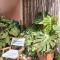 Thongtalay Bed & Breakfast Koh Larn