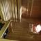 Appartement-Residenz Suite 10