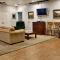 LV4 Large Basement Apartment for Zion Homebase