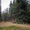 Woodside Lodge on West Shore with Private Hot Tub, Pool Table & Game Room - Tahoma