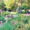 McDougall Lane Bed & Breakfast