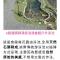 建築師湧泉泡湯會館 - 冬山乡
