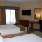 Holiday Inn Express Hotel & Suites Auburn Hills, an IHG Hotel - Auburn Hills