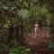 The Canopy Rainforest Treehouses & Wildlife Sanctuary