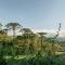 Flores da Mantiqueira