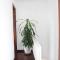 Davidduc's Duplex Apartment Xom Chua (5F) - Hanoi