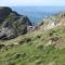 Lilac Cottage Tintagel