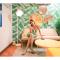 Bloom Hotel - HAL Old Airport Rd