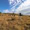 Valley Lodge - Babanango Game Reserve - Dundee