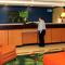 Fairfield Inn and Suites by Marriott Marion - Marion