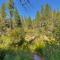 Bullshead Lodge- Luxury Estate, 4 Acres on River, Hot Tub, Minutes from the Slopes!