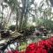 Tahitian Inn Boutique Hotel Tampa