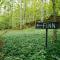 Finnwood - A Pet Friendly Woodland Retreat - Suttons Bay