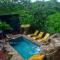 The Jungle Container - Quepos