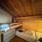 Apartment Belledonne 3 minutes from Alpe d Huez Grand Domaine via Oz en Oisans - Oz
