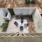 Modern Island Serenity!-Pet-Friendly villa - 希尔顿黑德岛