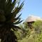 Garden Route Safari Camp - Mossel Bay