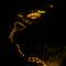 Guldaar Sariska - A luxury Forest Resort