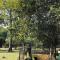 Lumbini Buddha Garden Resort