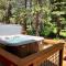 Olympic Valley Hideaway - Newly Remodeled Cabin with Private Hot Tub