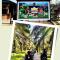 Razia Village - Rimba Razia