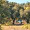 Beautiful cottage house at Mesokampos
