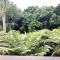 DRIFTWOOD- Hidden Gem, great view in a nature setting