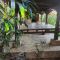 CLOVE GARDEN